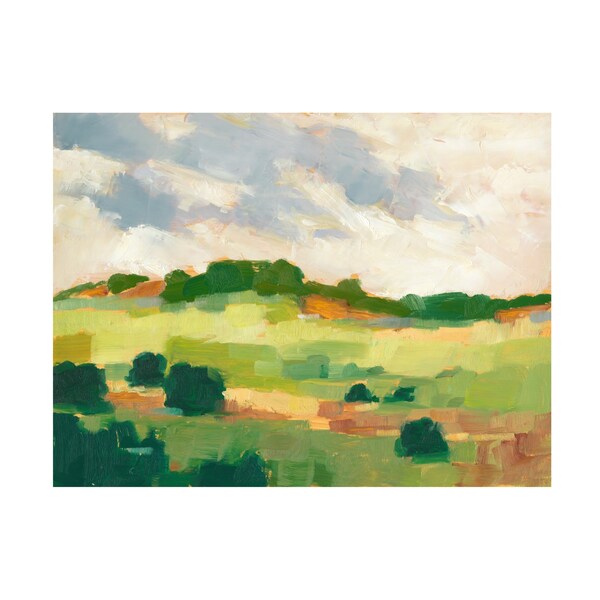 Trademark Fine Art Ethan Harper 'Scattered Trees II' Canvas Art, 35x47